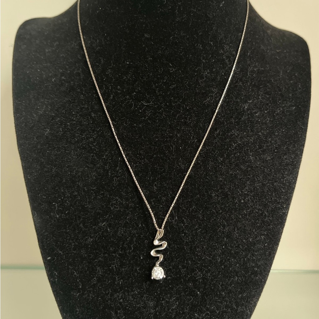 Elegant Silver Snake Pendant Necklace Nwt